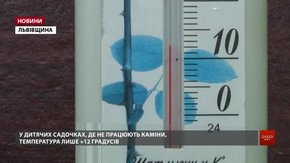 У НАК «Нафтогаз» назвали терміни, коли в Новому Роздолі запустять ТЕЦ