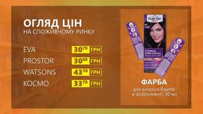 Огляд цін на фарбу для волосся Palette у мережевих магазинах