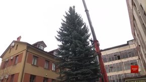 У центрі Львова встановлять сріблясту ялинку з колишнього заводу «Кінескоп»