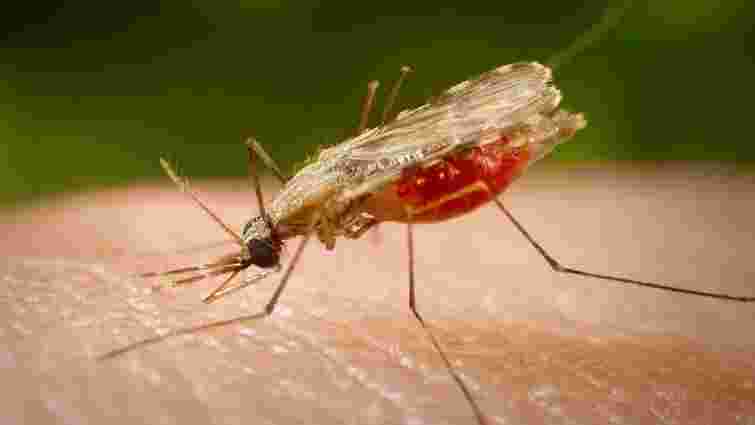 У мешканця Рівненщини діагностували найнебезпечніший вид малярії