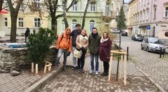 «Вуличні дерева треба замінювати раз на 50 років»