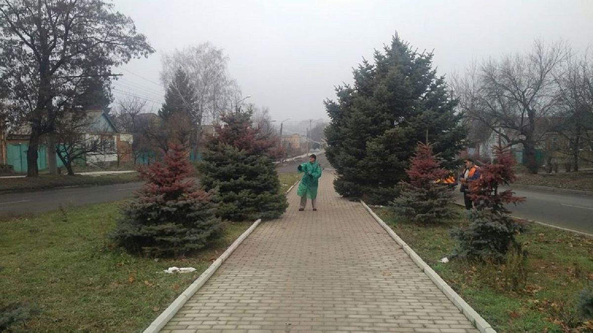  Ялинки у центральному парку Львова пофарбують у червоний колір 