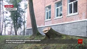 У Тростянецькій ОТГ вирізали понад півтисячі дерев