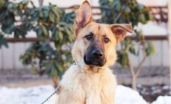 Міранда, Лея, Марк та їхні друзі