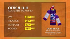 Огляд цін на засіб для чищення Domestos у мережевих магазинах