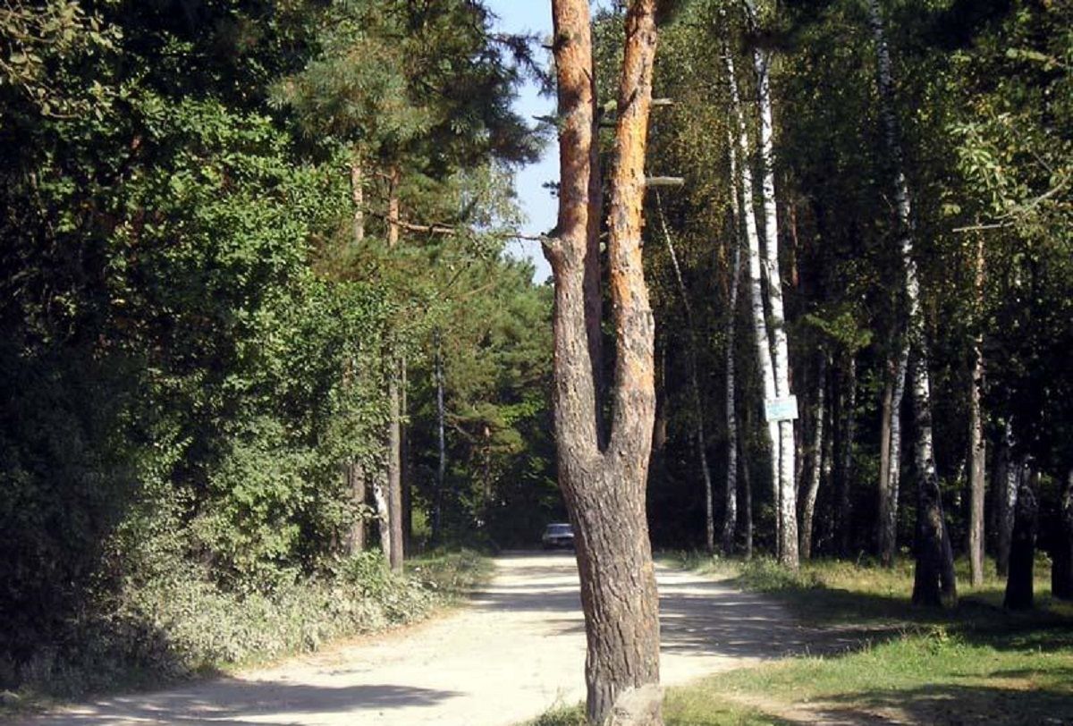 Поблизу Львова створили лісовий заказник площею 42 гектари