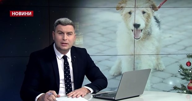 Головні новини Львова за 14 січня