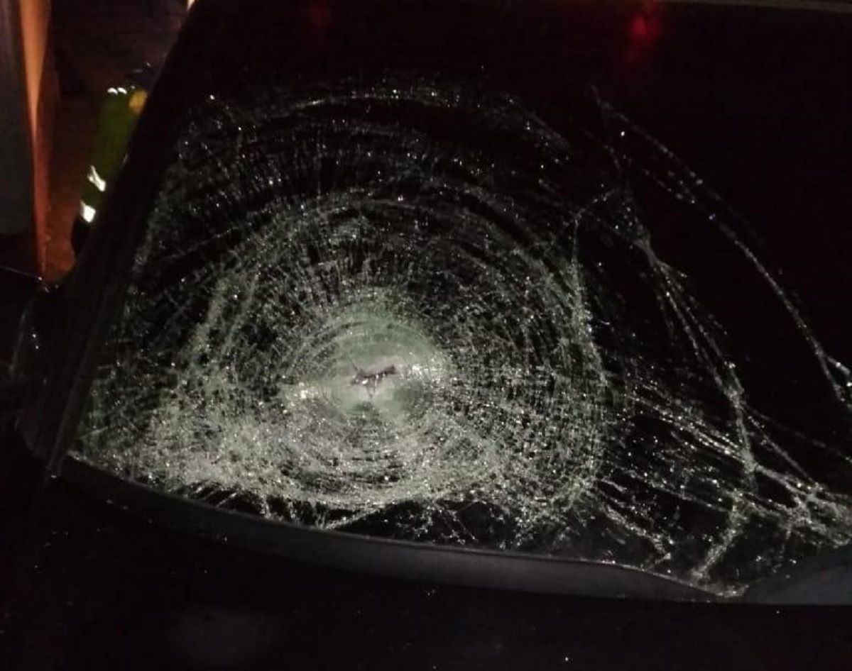 Поліція встановила особу водія, який у Солонці збив на смерть пішохода і втік