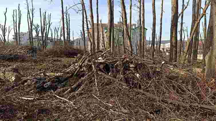  Дерева у винниківському парку перетворили на стовпи, щоб знищити омелу