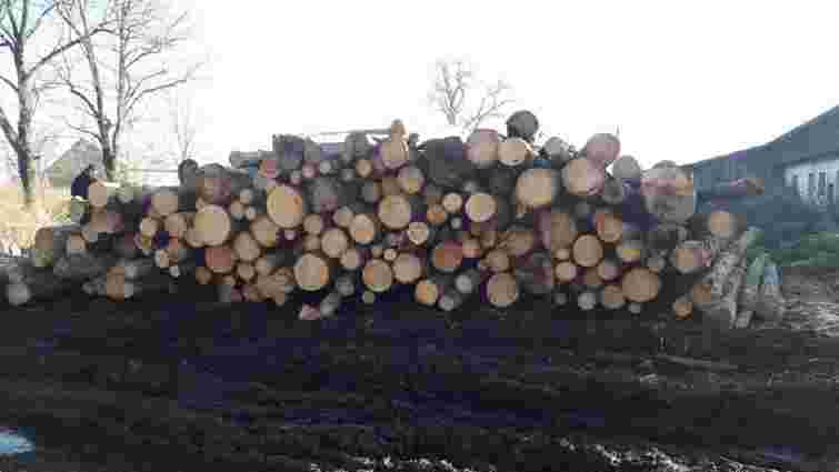 На приватній пилорамі у Старосамбірському районі виявили незаконно зрубані дерева