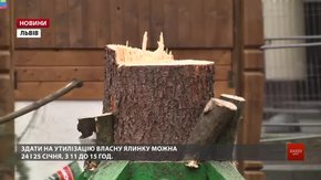 У Львові розібрали головну ялинку