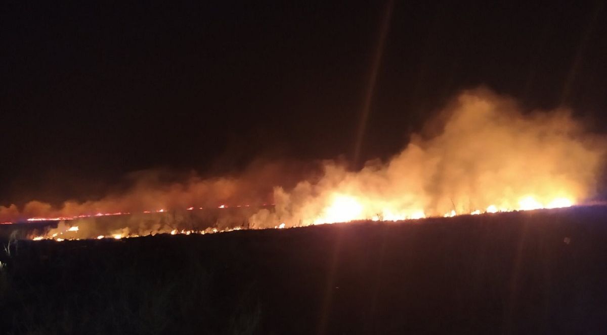 За минулу добу на Львівщині вогнеборці ліквідували 11 пожеж сухої трави