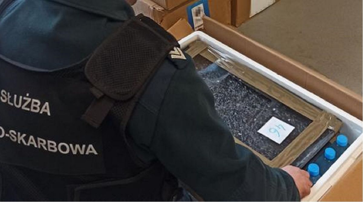 Поляки затримали українця з рекордною партією контрабанди червонокнижного вугра