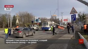 Один зі стовпів на вул. Науковій у Львові впав на автомобіль екс-тренера збірної України з боксу