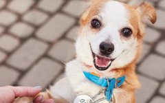 В полоні милої Лілу