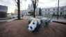 Трьох гіпсових панд встановили на місці знесеного МАФу у Львові. Фото дня