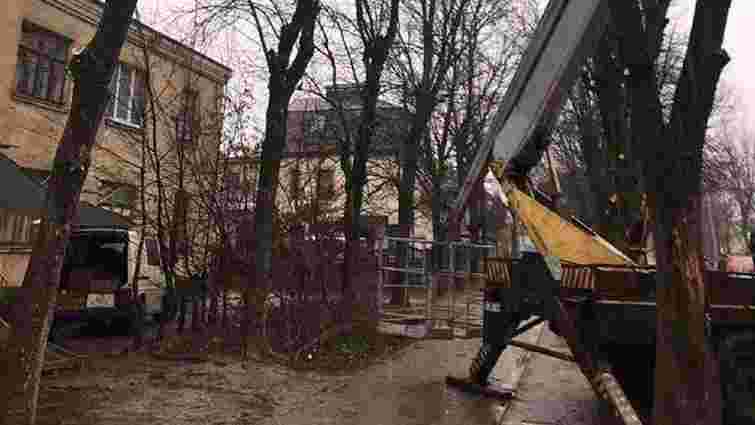 Міськрада заздалегідь повідомлятиме локації обрізки гілок і аварійних дерев у Львові