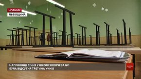 Майже три сотні шкіл Львова та області тимчасово призупинили навчання