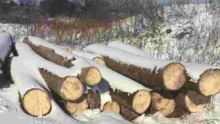 З приватної пилорами у Бродівському районі поліцейські вилучили незаконно зрубані дерева