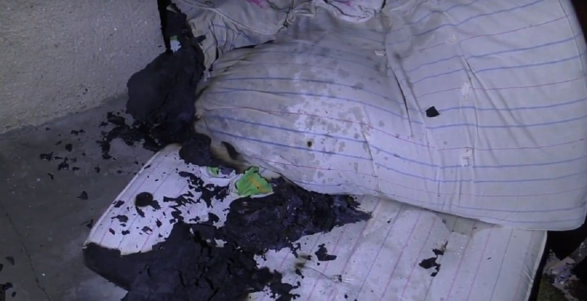 Вночі в гуртожитку львівського ветеринарного університету виникла пожежа
