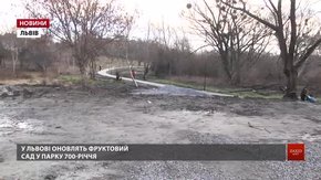 У Львові відновлять історичний фруктовий сад