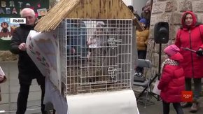 Львівські бабаки констатували  прихід весни