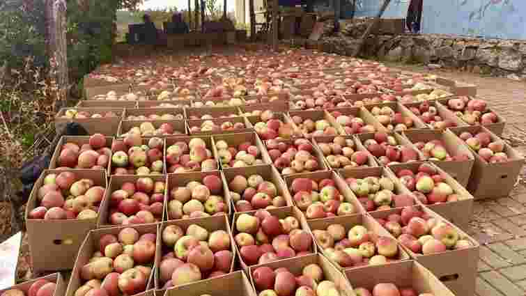 Україна різко збільшила імпорт яблук і скоротила їх експорт