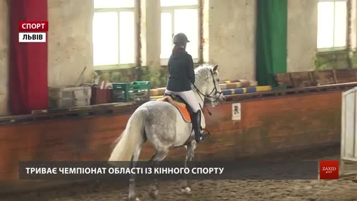 Львівські вершники визначають наймайстерніших у подоланні перешкод
