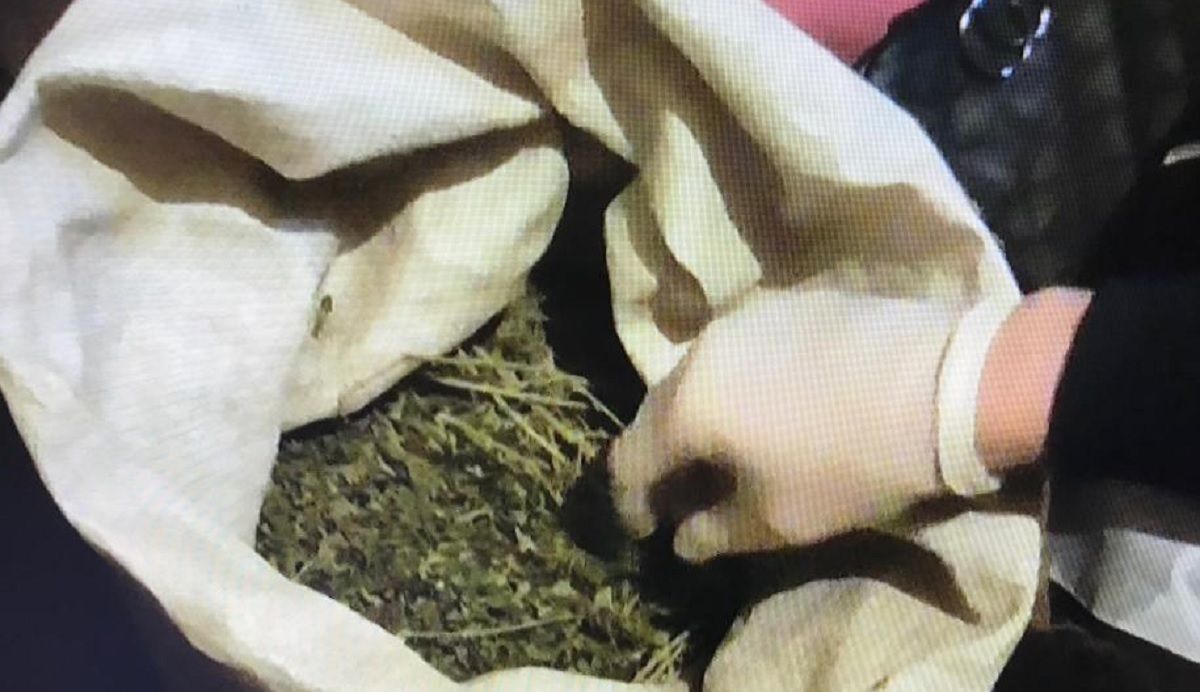 На Старосамбірщині поліція затримала наркоторговця з 2 кг марихуани й таблетками