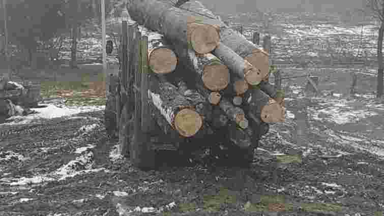 Львівські правоохоронці вилучили із двох сільських лісопилок 60 незаконно зрізаних дерев