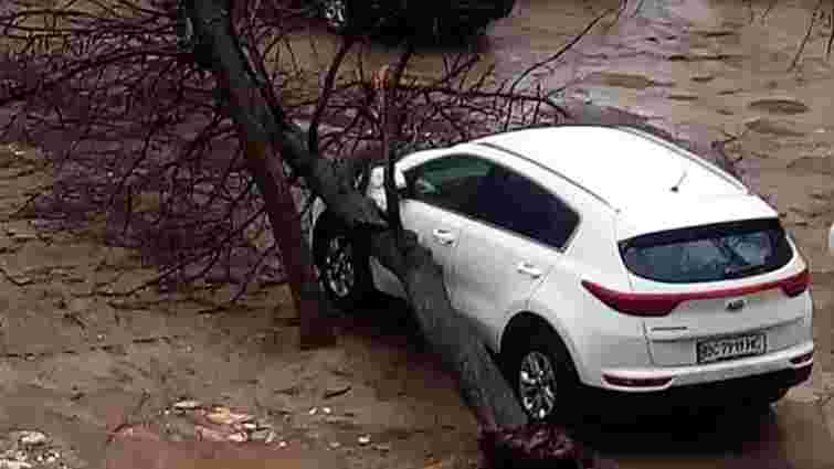 На вулицях Любінській та Коцюбинського дерева впали на припарковані автомобілі