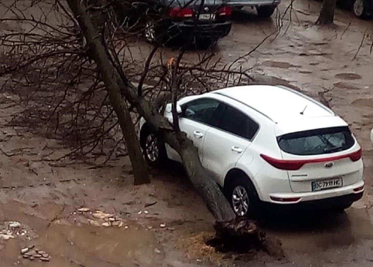На вулицях Любінській та Коцюбинського дерева впали на припарковані автомобілі