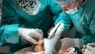Львівська  лікарня швидкої медичної допомоги отримала ліцензію на трансплантацію органів
