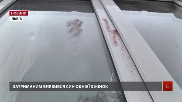 22-річний вбивця мами і тітки завдав їм понад 100 ножових поранень