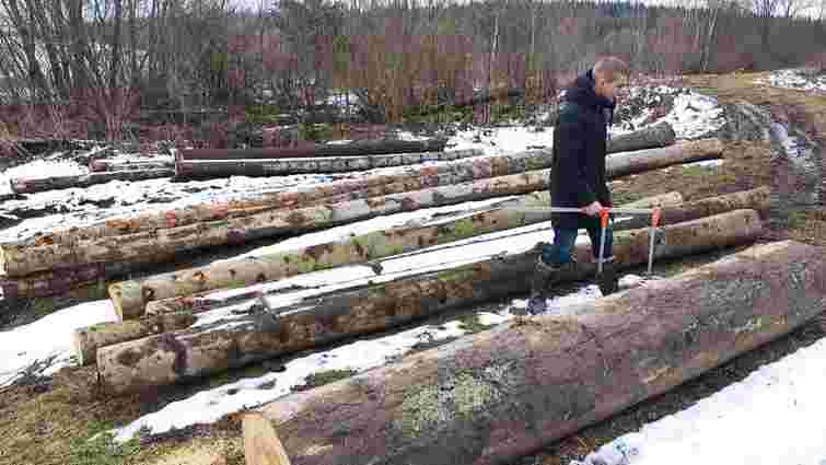 Біля приватної пилорами на Старосамбірщині виявили незаконно зрубані дерева