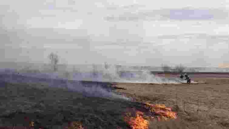 На Сокальщині пенсіонерка загинула у пожежі під час спалення сухої трави