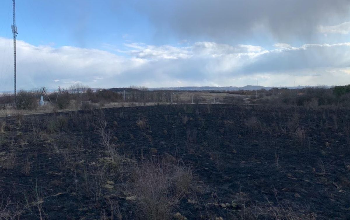 Неподалік Грибовицького сміттєзвалища невідомі підпалили суху траву