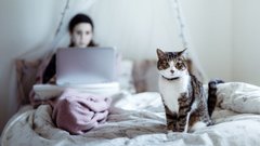 Як вижити у карантині