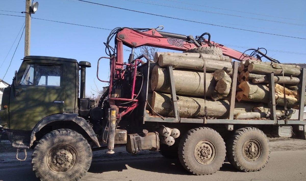 На Яворівщині правоохоронці затримали вантажівку з незаконно зрубаною деревиною