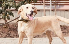 Будиночок для Барбі