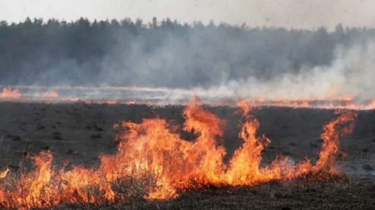 ЛОДА просить збільшити штраф за підпал сухої трави у 200 разів