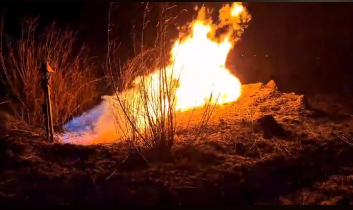 Через пожежу трави біля Львова горів газопровід