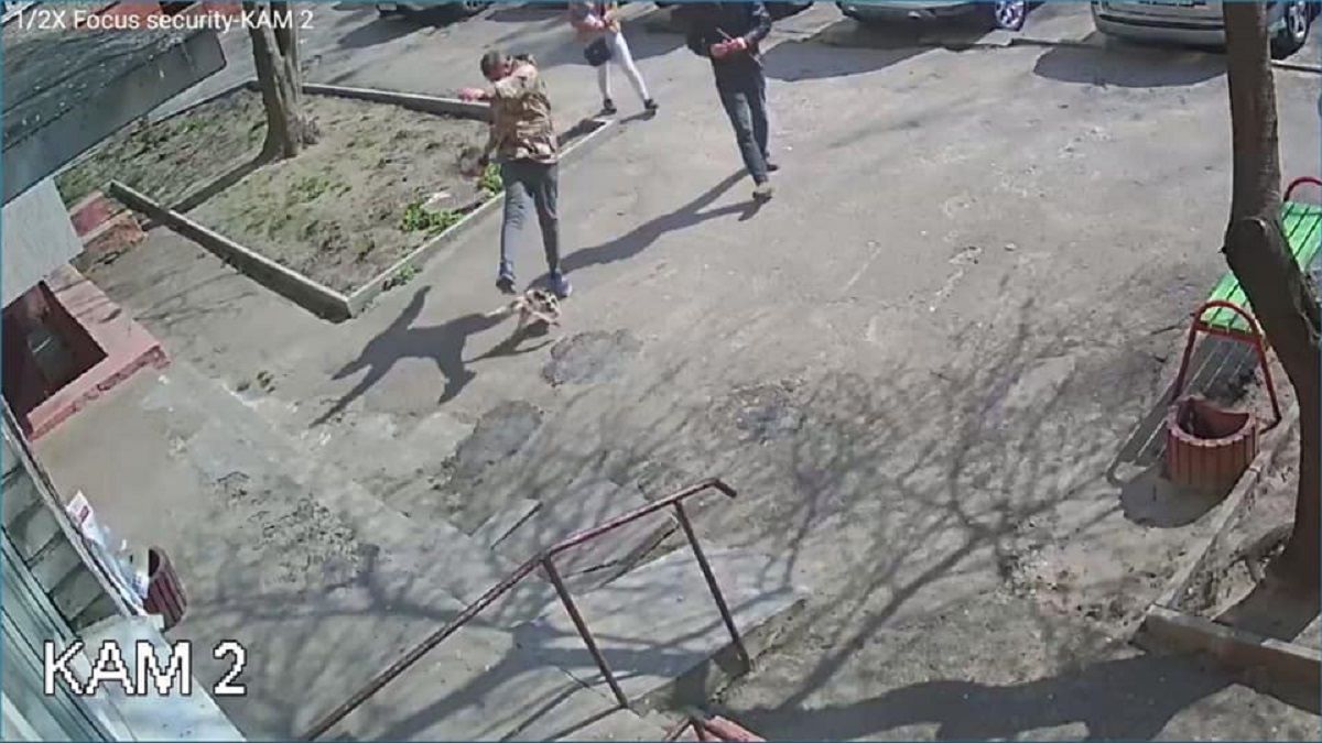 Поліція  затримала 29-річного львів’янина за знущання над кішкою