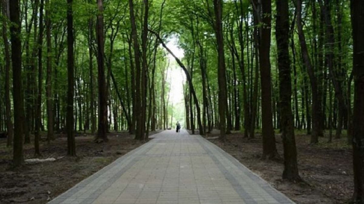 Національна гвардія і муніципали патрулюватимуть львівські парки