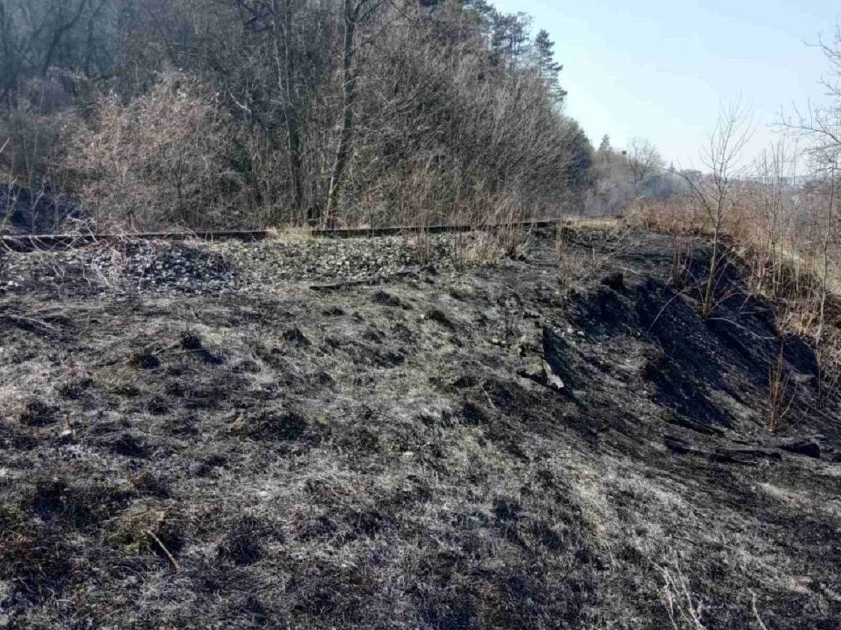 У парку «Знесіння» через підпал вигоріло 4 га заповідної зони
