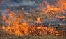 Через підпал сухої трави у Львові загинув 64-річний чоловік