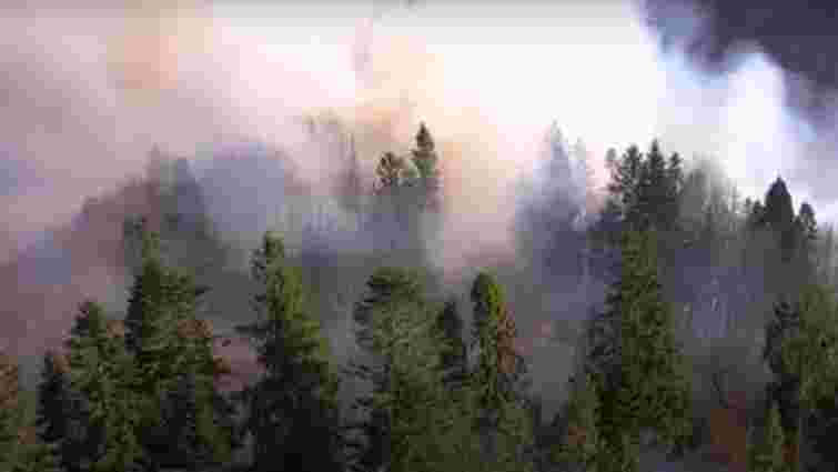 На Сколівщині внаслідок пожежі вигоріло 5 га лісу
