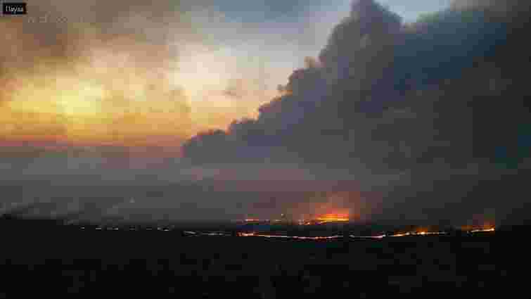 Пожежа в Чорнобильській зоні вже завдала збитків на десятки мільйонів гривень