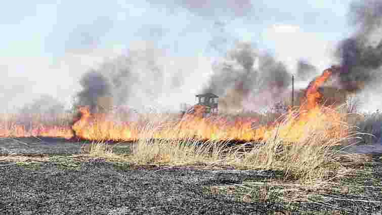 Верховна Рада суттєво збільшила штрафи за спалювання сухої трави