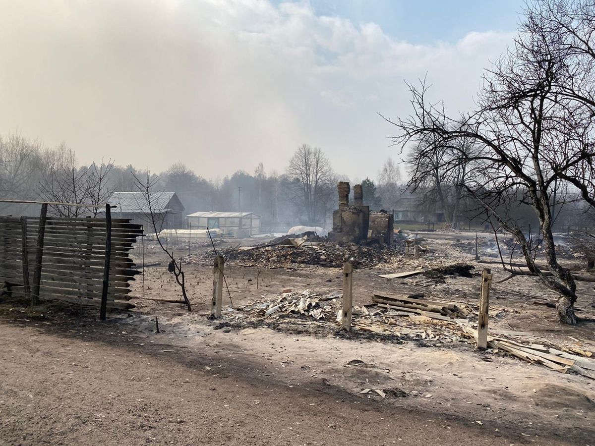 На  Житомирщині пожежа охопила 4 тисячі гектарів лісу та кілька сіл